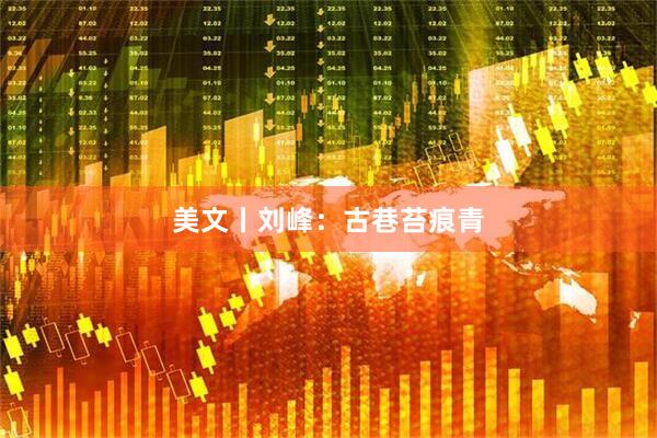美文丨刘峰：古巷苔痕青