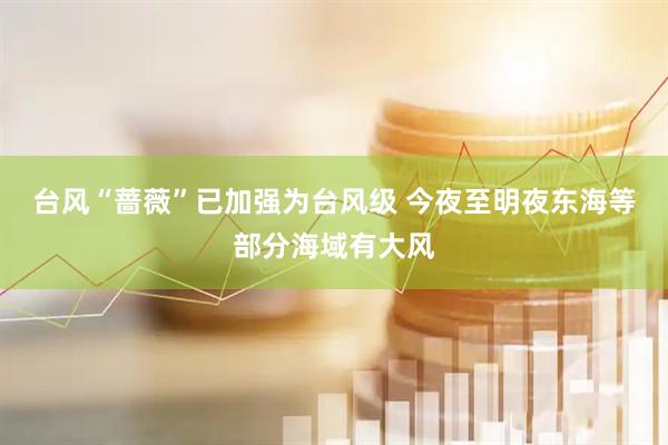 台风“蔷薇”已加强为台风级 今夜至明夜东海等部分海域有大风